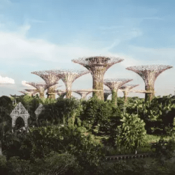 City Singapore - 新加坡
